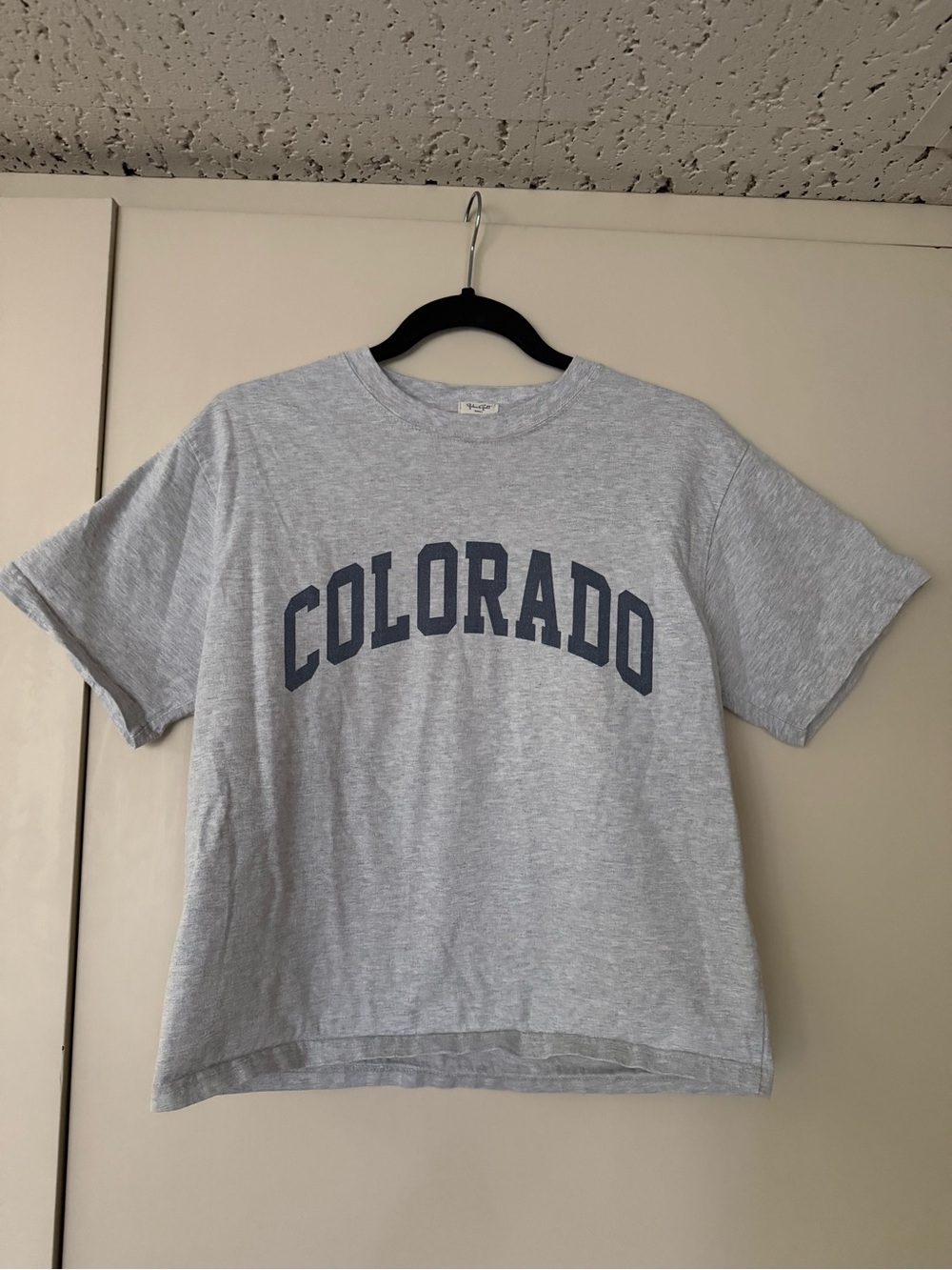 Brandy Melville Light Gray Tee with Navy Colorado Arch